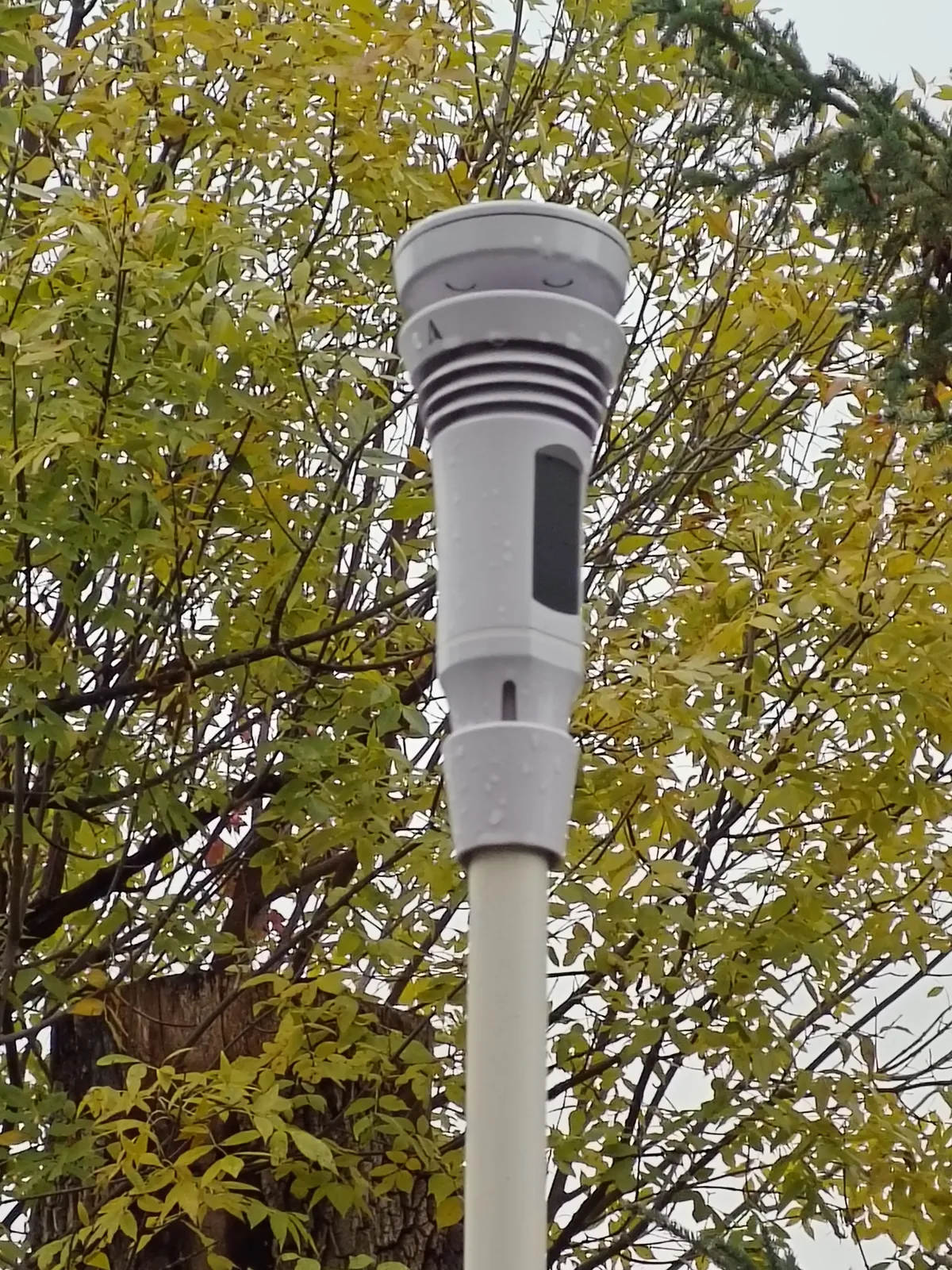 Close-up of the Tempest ’26 on its pole, with raindrops on the white housing